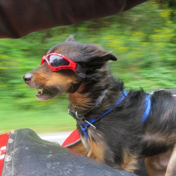 Meet your Posher, Silke - Picture 1 of 1